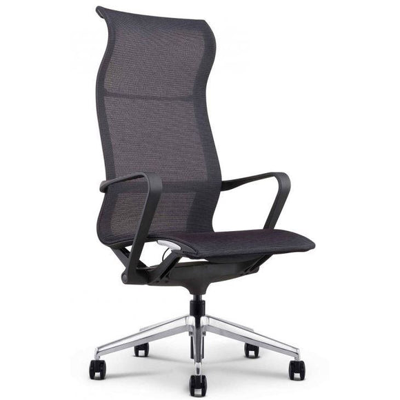https://www.officefurniture4sale.com/cdn/shop/products/0030427_fina-high-profile-executive-mesh-chair-black_428a96a7-b7cc-4631-9b59-3ce4ac3f3caf_580x.jpg?v=1553353624